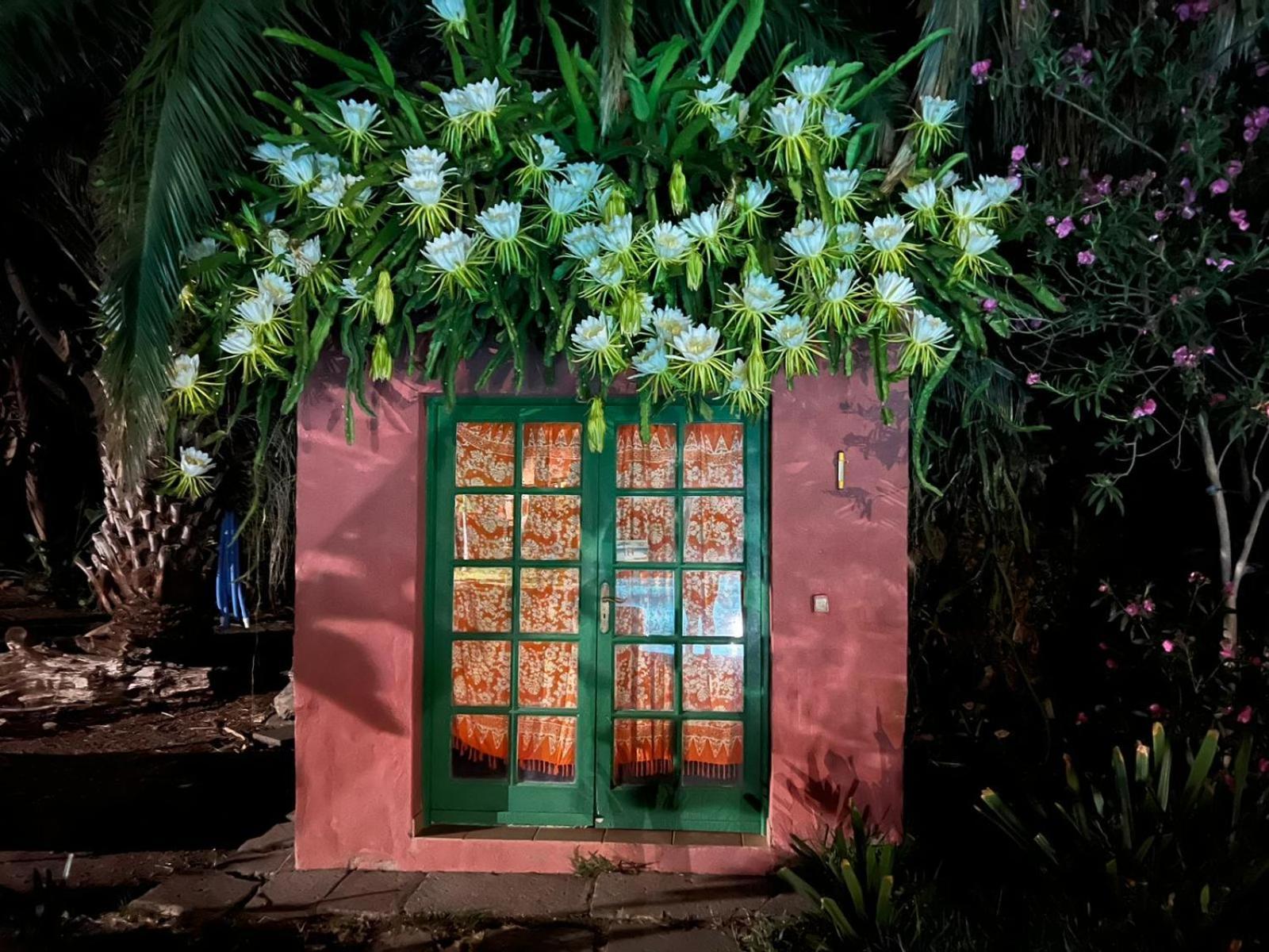 La Casa del Molino de Viento Agaete (Gran Canaria) Exterior foto